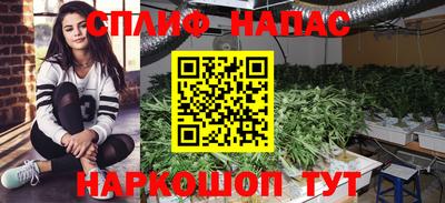 ПСИЛОЦИБИНОВЫЕ ГРИБЫ Нарткала