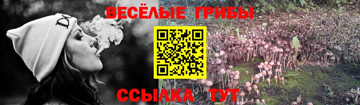 Советск  Псилоцибиновые грибы Magic Shrooms  Вход с VPN 