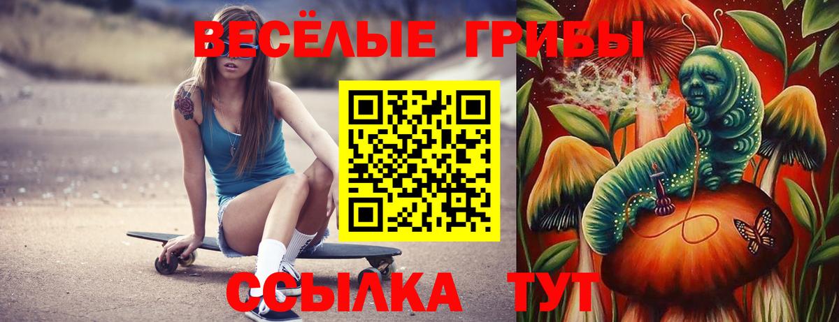 Галлюциногенные грибы Psilocybine cubensis Советск